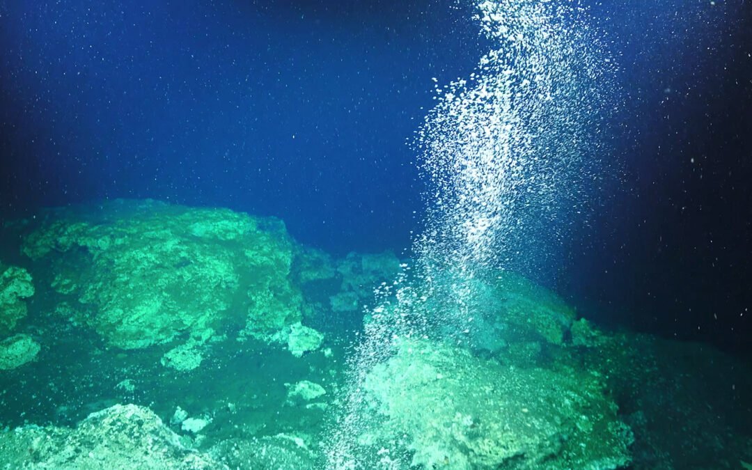 الينابيع الباردة للمبتدئ: حياة على الهيدروكربونات